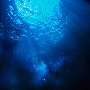 我要看美女窝尿操逼
