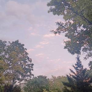 我要看美女窝尿操逼
